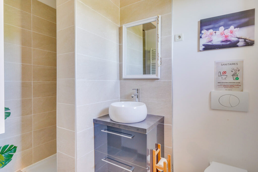Villa 3 Chambres, 2 SDB, piscine, Saint Aignan — photo 21