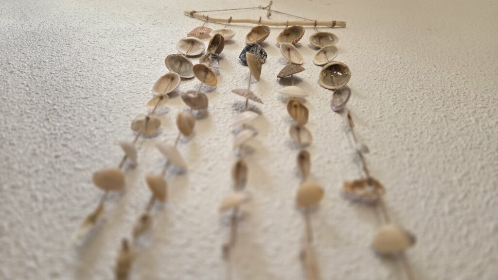 Maisonnette au pied de la dune — photo 9