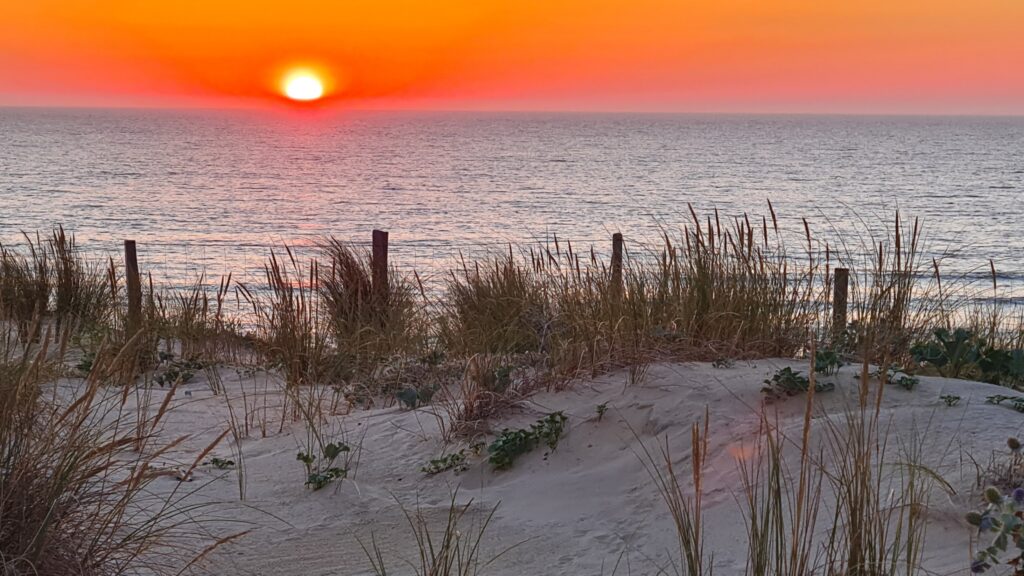 Maisonnette au pied de la dune — photo 22
