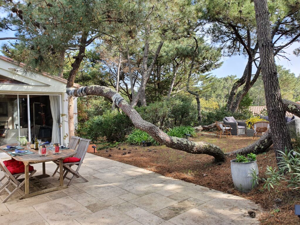 Family home in the heart of Cap Ferret — photo 5