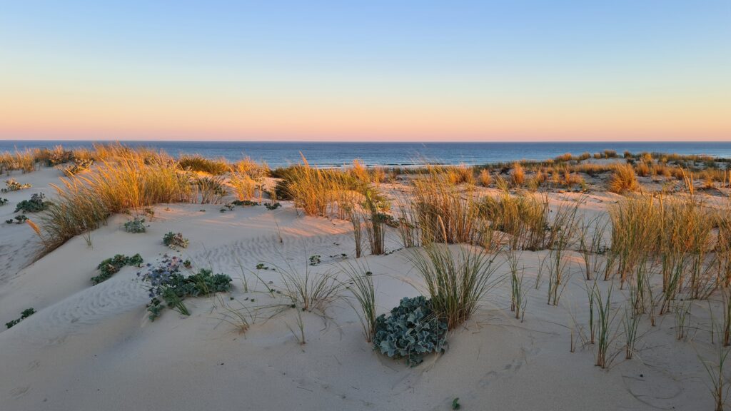 Maisonnette au pied de la dune — photo 20