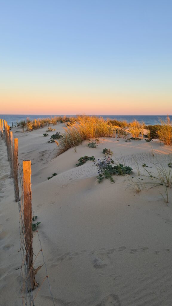 Maisonnette au pied de la dune — photo 21