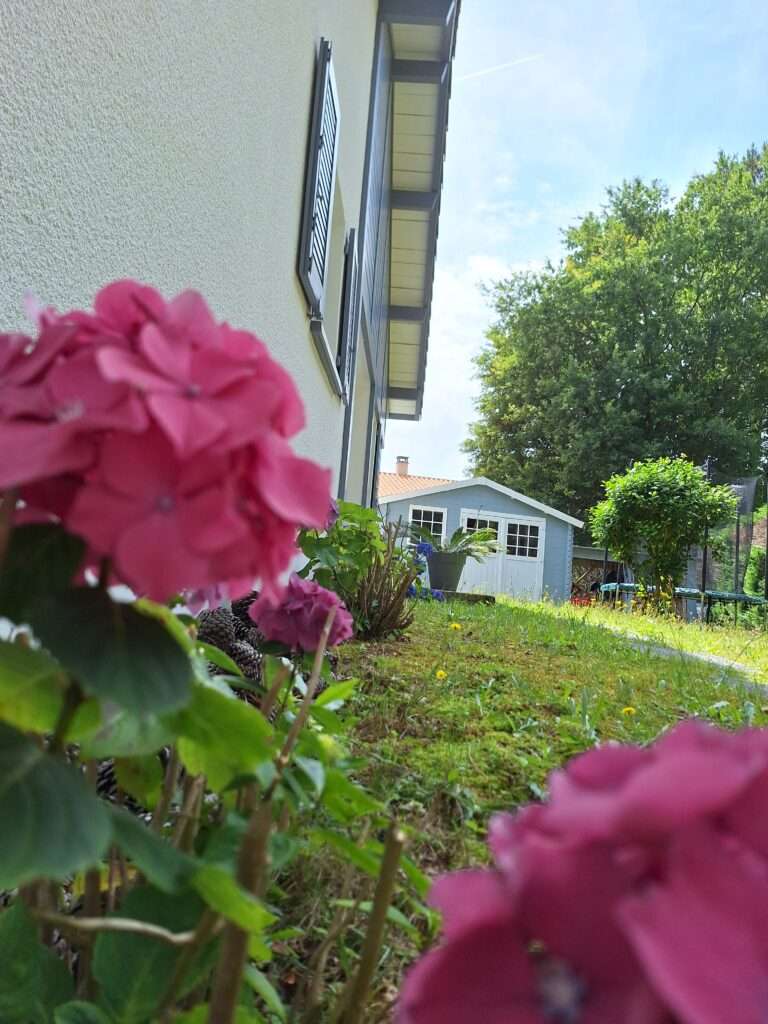 Maison meublée 3 chambres dans les Landes — photo 19