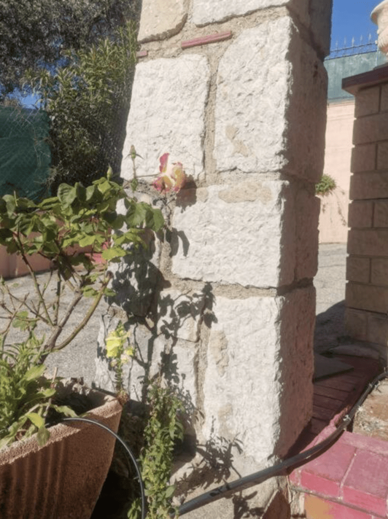 Charmante maison traditionnelle sur les collines niçoises — photo 12