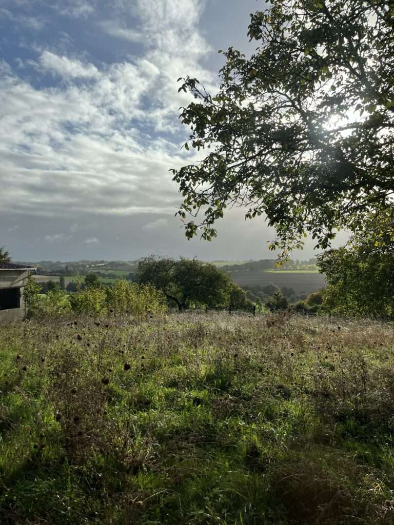 Charmante maison de campagne à l’intérieur contemporain — photo 5