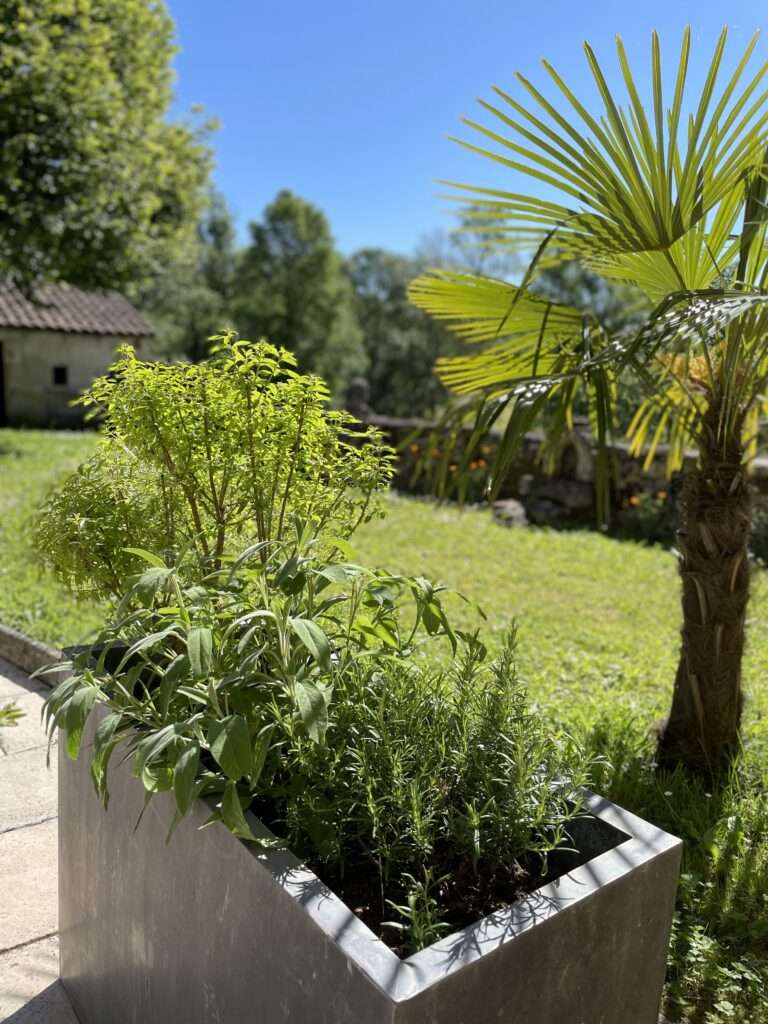 Maison 4 à 6 personnes au milieu des chevaux — photo 3