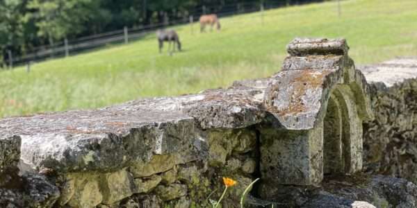 Maison 4 à 6 personnes au milieu des chevaux