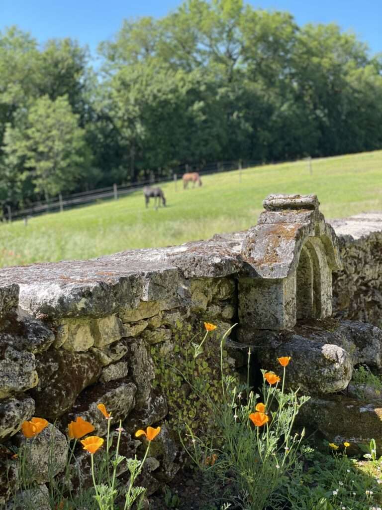 Maison 4 à 6 personnes au milieu des chevaux — photo 4