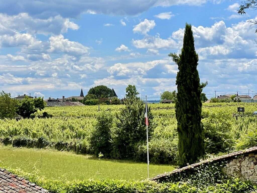 Jolie Maison dans les Vignes proche de Bordeaux — photo 2
