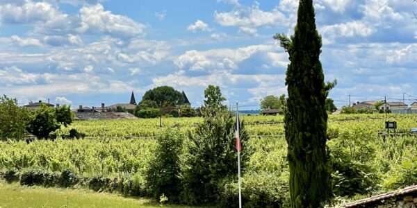 Jolie Maison dans les Vignes proche de Bordeaux