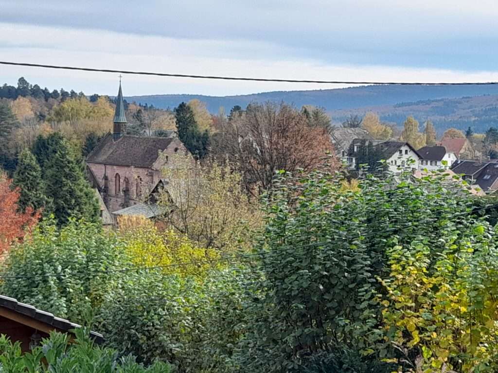 Chalet en Alsace à proximité de la foret — photo 8
