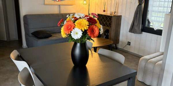 Chalet 56 m² climatisé avec piscine (animaux acceptés)