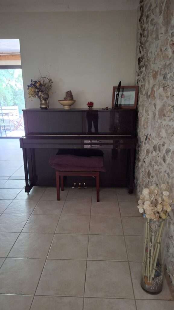 Single-storey house with garden in Saint-Bauzille-de-Putois — photo 3