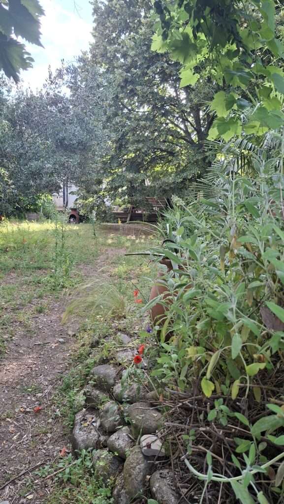 Single-storey house with garden in Saint-Bauzille-de-Putois — photo 13