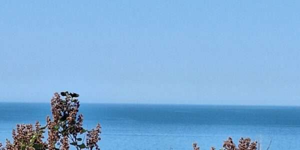 Grand appartement avec vue sur mer