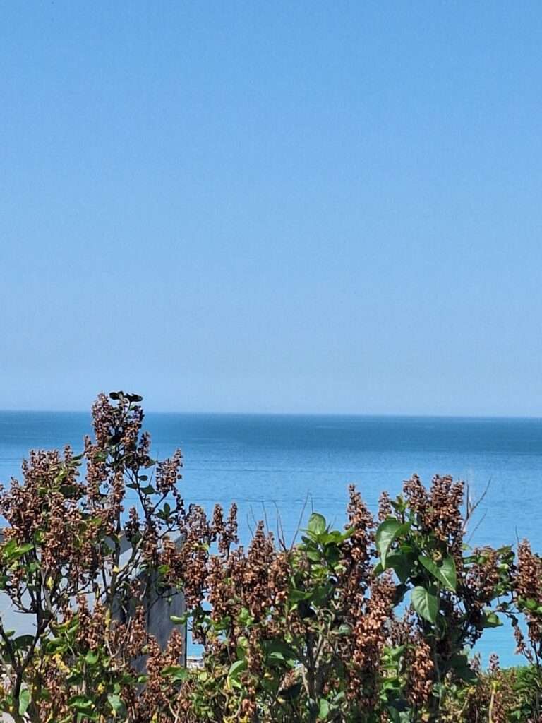 Appartement meublé de 90 m² à Donville-les-Bains – Grand appartement avec vue sur mer – photo 3