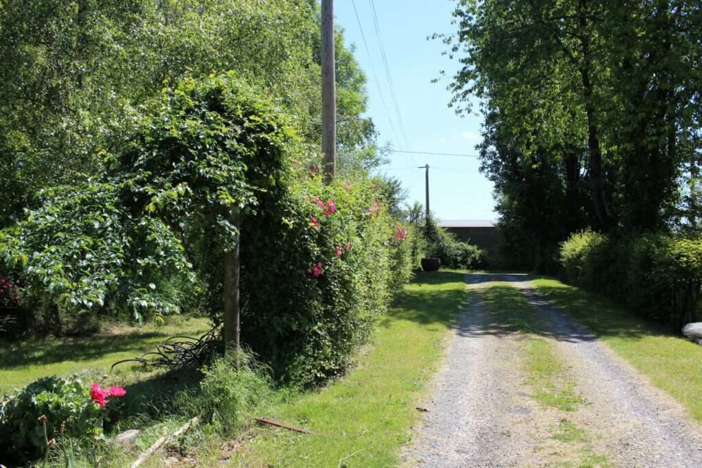 3 maisons sur un domaine idéal familles ou amis — photo 42