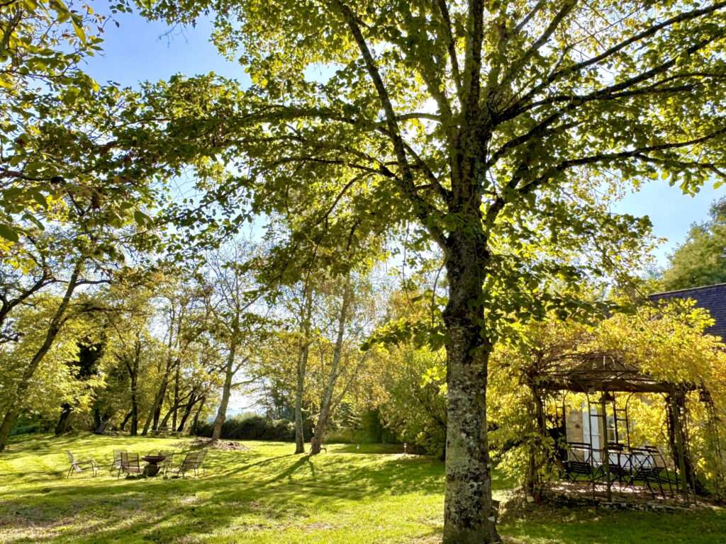 Maison meublée de 100 m² à Simeyrols – Proche de Sarlat, Maison au calme au vert au cœur du Périgord Noir – photo 16