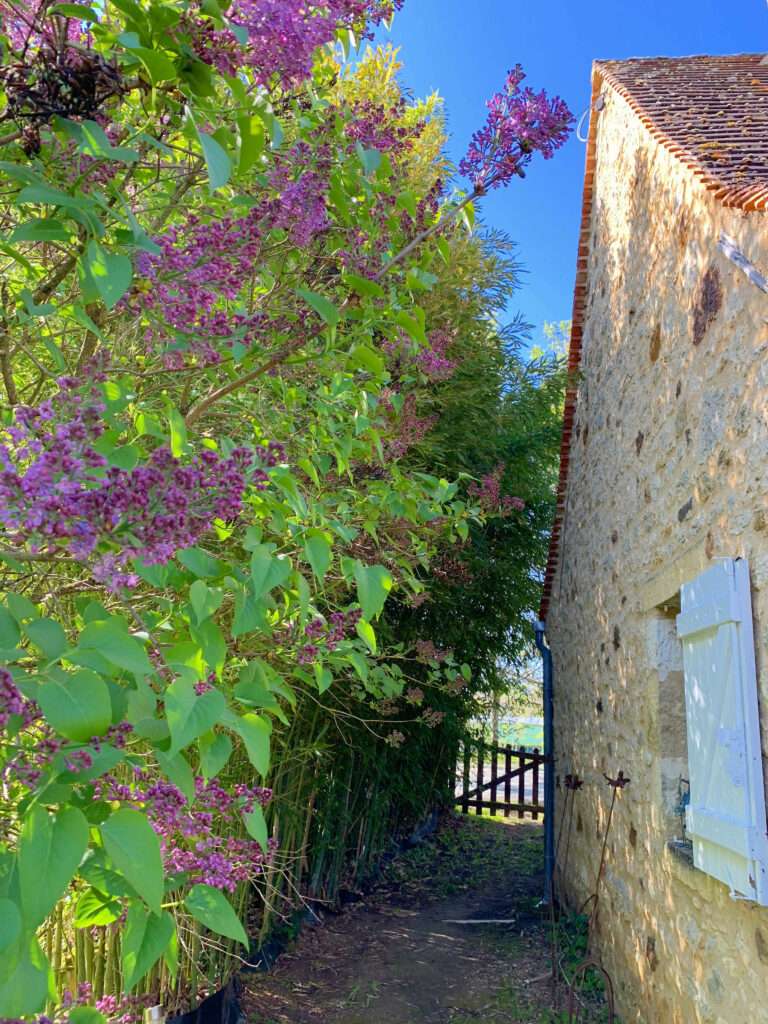 Maison meublée de 100 m² à Simeyrols – Proche de Sarlat, Maison au calme au vert au cœur du Périgord Noir – photo 9