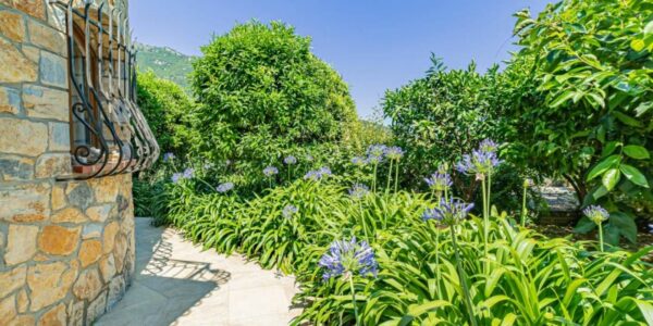 Appartement meublé à louer dans les Alpes-Maritimes à proximité de Cannes et Antibes