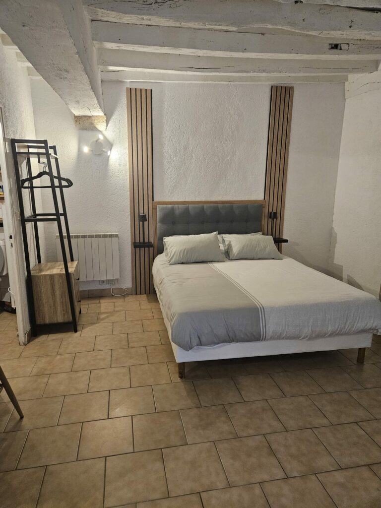 Appartement de charme situé en centre-ville au coeur historique de Blois. — photo 6