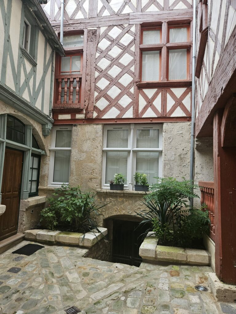Appartement de charme situé en centre-ville au coeur historique de Blois. — photo 9