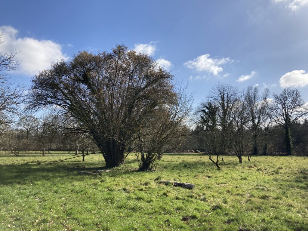 Maison en pierres en bord de rivière en Morbihan — photo 14