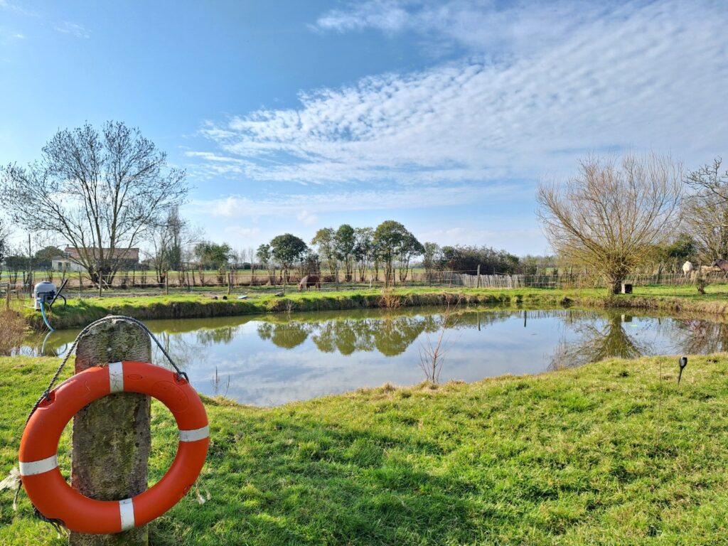 Maison au cœur d’un authentique corps de ferme — photo 2