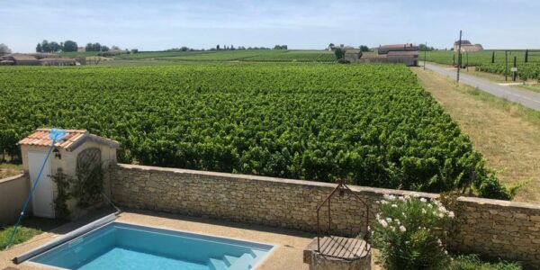 Belle maison en pierre dans les vignes