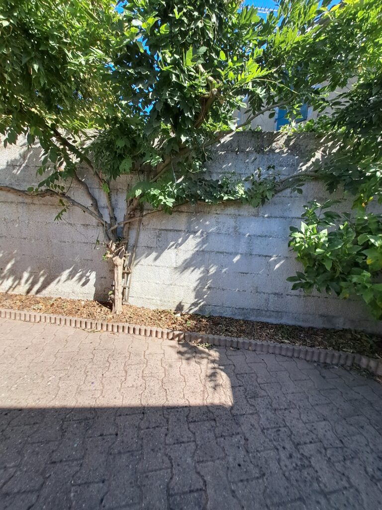 Maison spacieuse Saint Pierre d’Oléron — photo 2