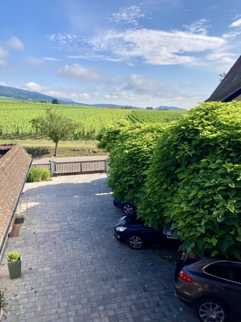 120 m² Duplex in Hunawihr – Alsace Wine Route – 5 People — photo 11