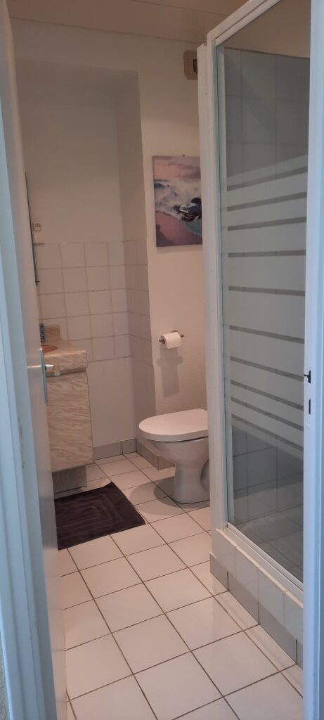 Appartement meublé à Damgan – 34 m² avec terrasse plein sud — photo 4