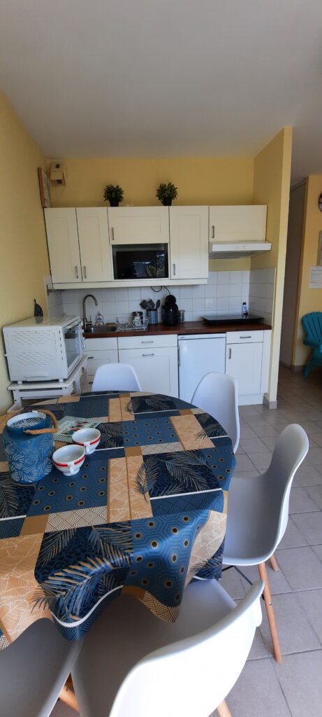 Appartement meublé à Damgan – 34 m² avec terrasse plein sud — photo 6