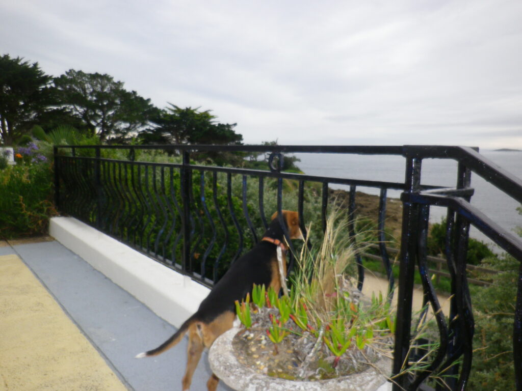 Beachfront Home 100 Meters from the Beach in Arzon — photo 6