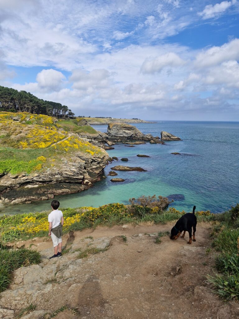 Maison avec jardin dans les hauteurs du ravissant port de Sauzon à Belle-île en Mer — photo 9