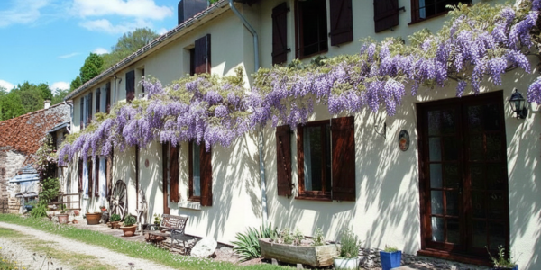 Character House with Pool in Vernoux-en-Gâtine
