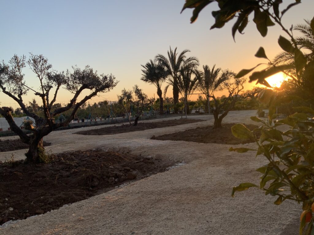 Magnifique finca rénovée à Elche en Espagne — photo 13