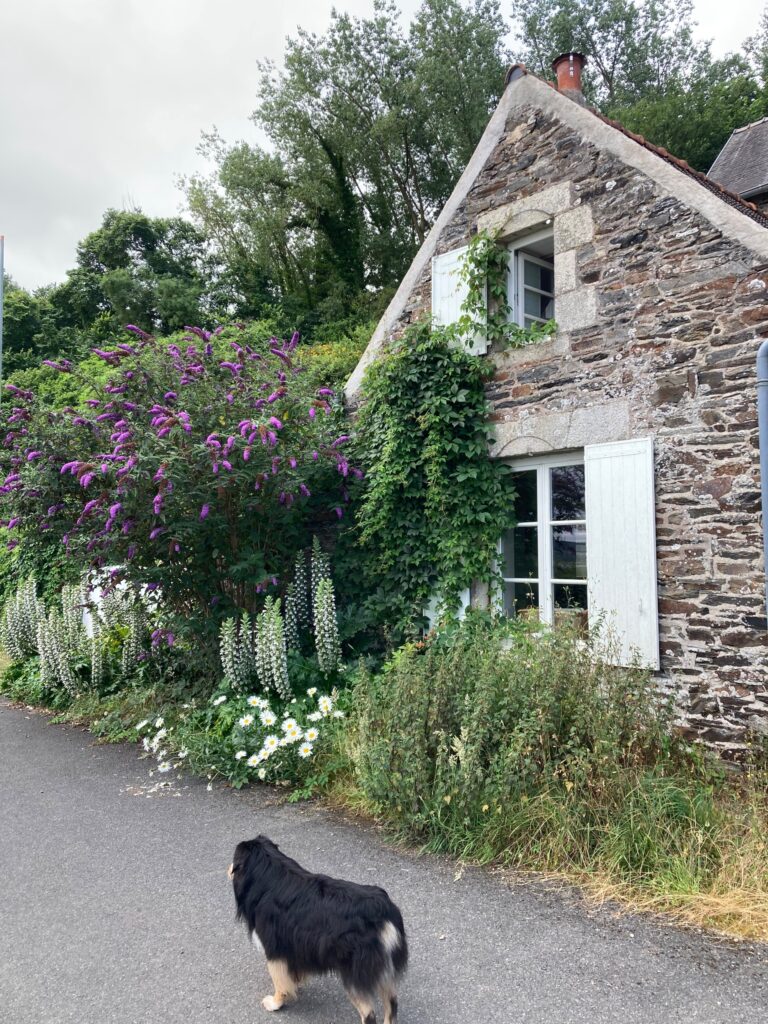Maison meublée de 180 m² à Plestin les grèves – Maison de plage familiale – photo 1