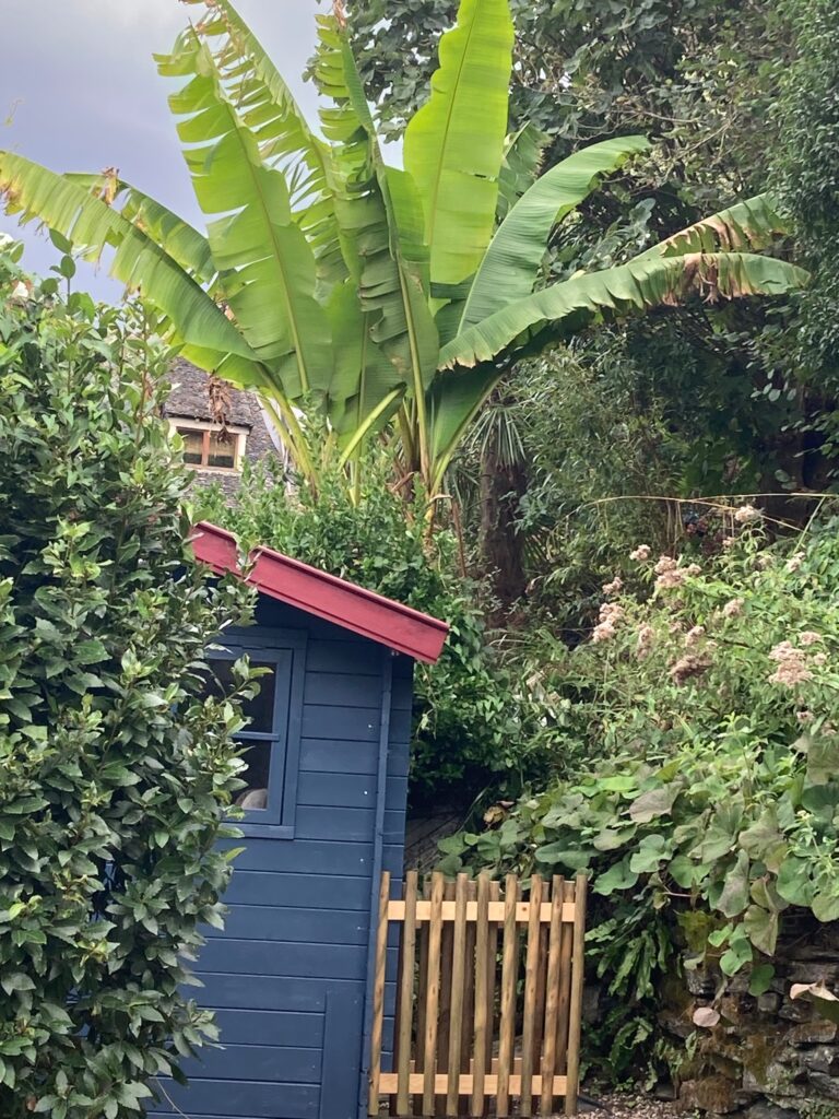 Maison meublée de 180 m² à Plestin les grèves – Maison de plage familiale – photo 16