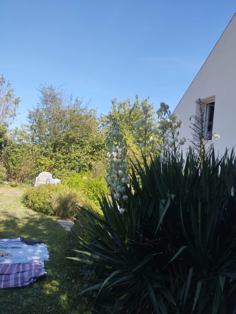 Character Home with Garden • Cormeilles-en-Vexin — photo 6
