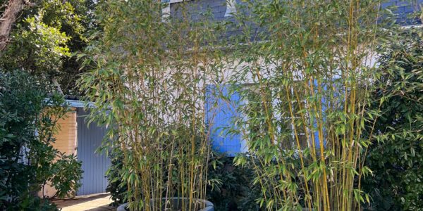 3-Bedroom Home 50 m from the Beach – Arcachon