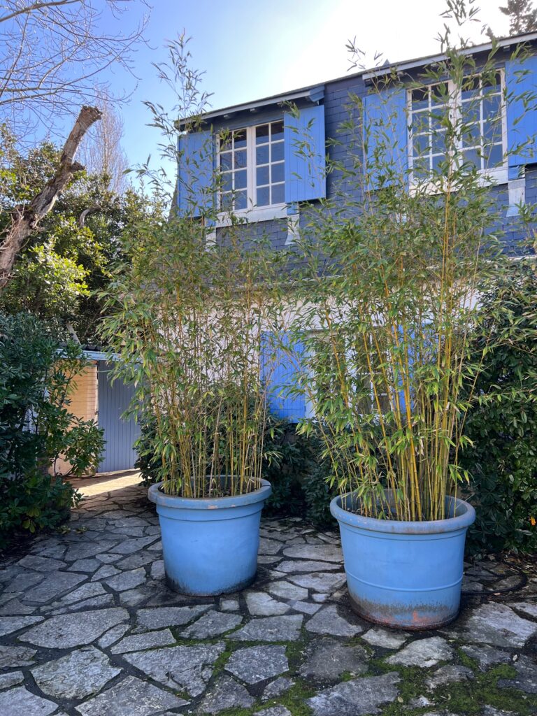 Maison meublée de 105 m² à Arcachon – Maison 3 chambres à 50 m de la plage – Arcachon – photo 1