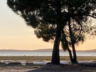 Maison familiale à Andernos – les Bains — photo 11