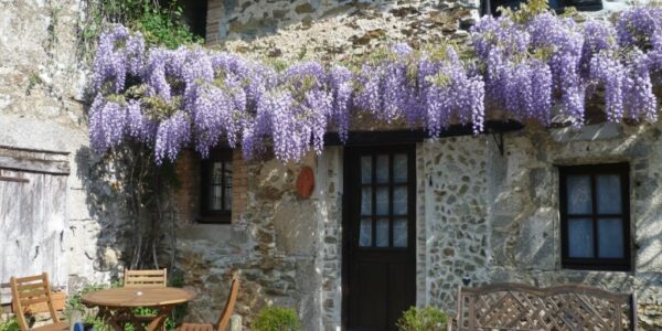 Stone Cottage with Heated Pool in Vernoux-en-Gâtine