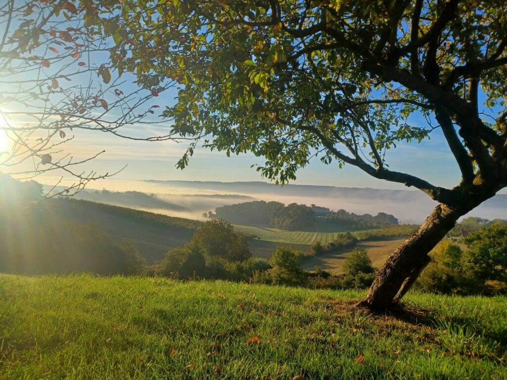Maison de campagne avec vue sur la vallée – Brugnac — photo 1