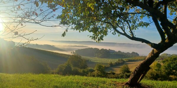 Country House with Valley Views – Brugnac
