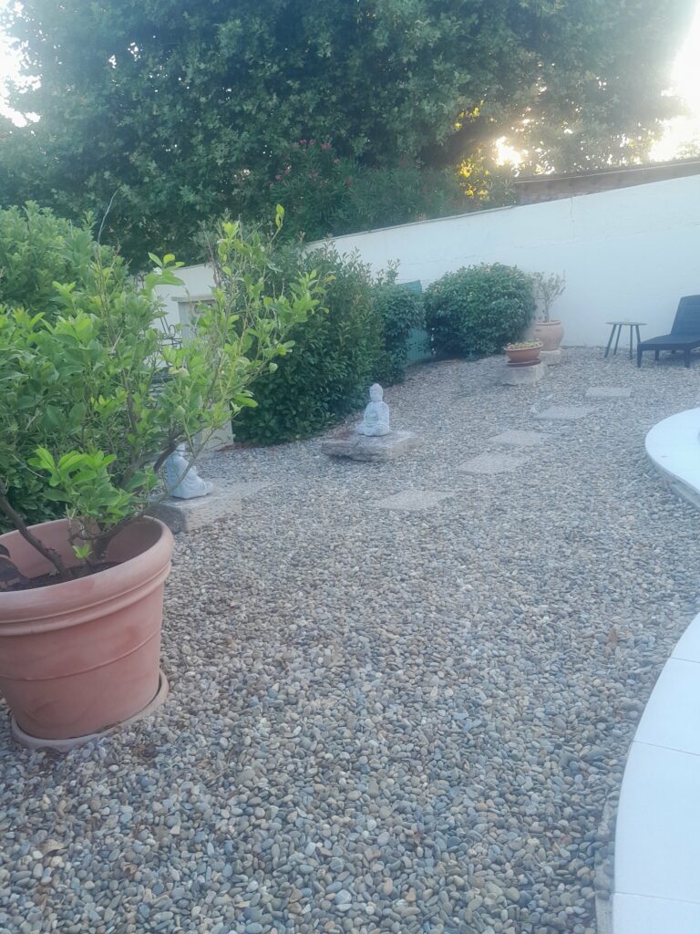 Maison avec piscine et jardin à Saint-Rémy-de-Provence — photo 21