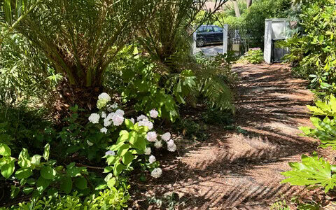 200 m² Wooden House with Pool in Lège-Cap-Ferret