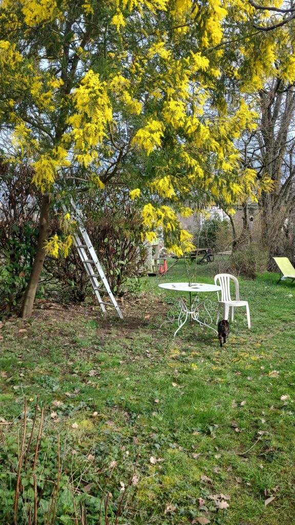 Maison meublée de 130 m² à Oullins-Pierre-Bénite – Maison d’architecte avec jardin • Oullins-Pierre-Bénite – photo 6