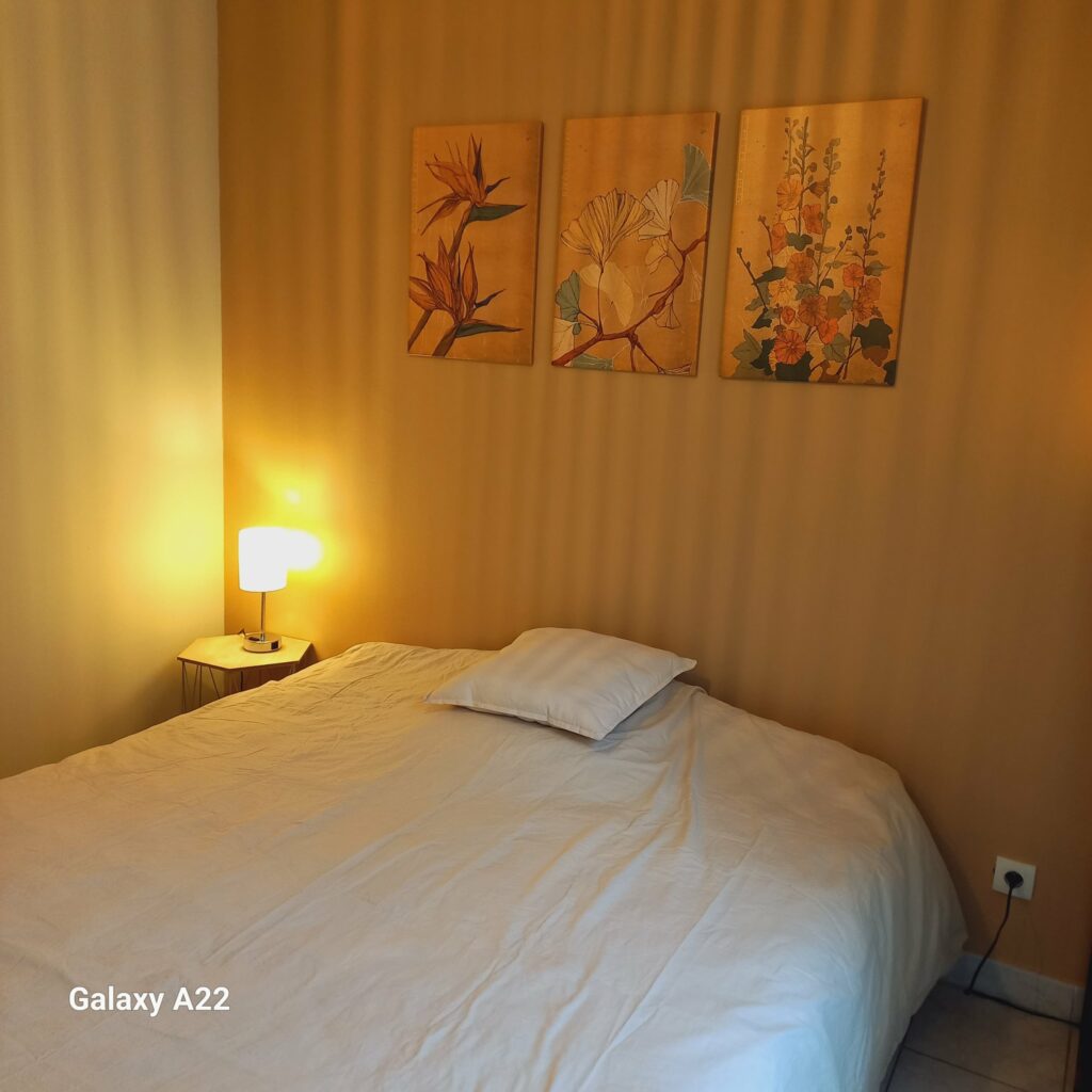 Appartement lumineux avec piscine • Hyères centre — photo 7